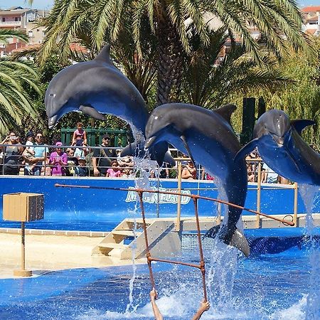 Castillo Can Xirau, Propiedad Exclusiva Con Piscina & Aircon Villa Santa Susanna Esterno foto