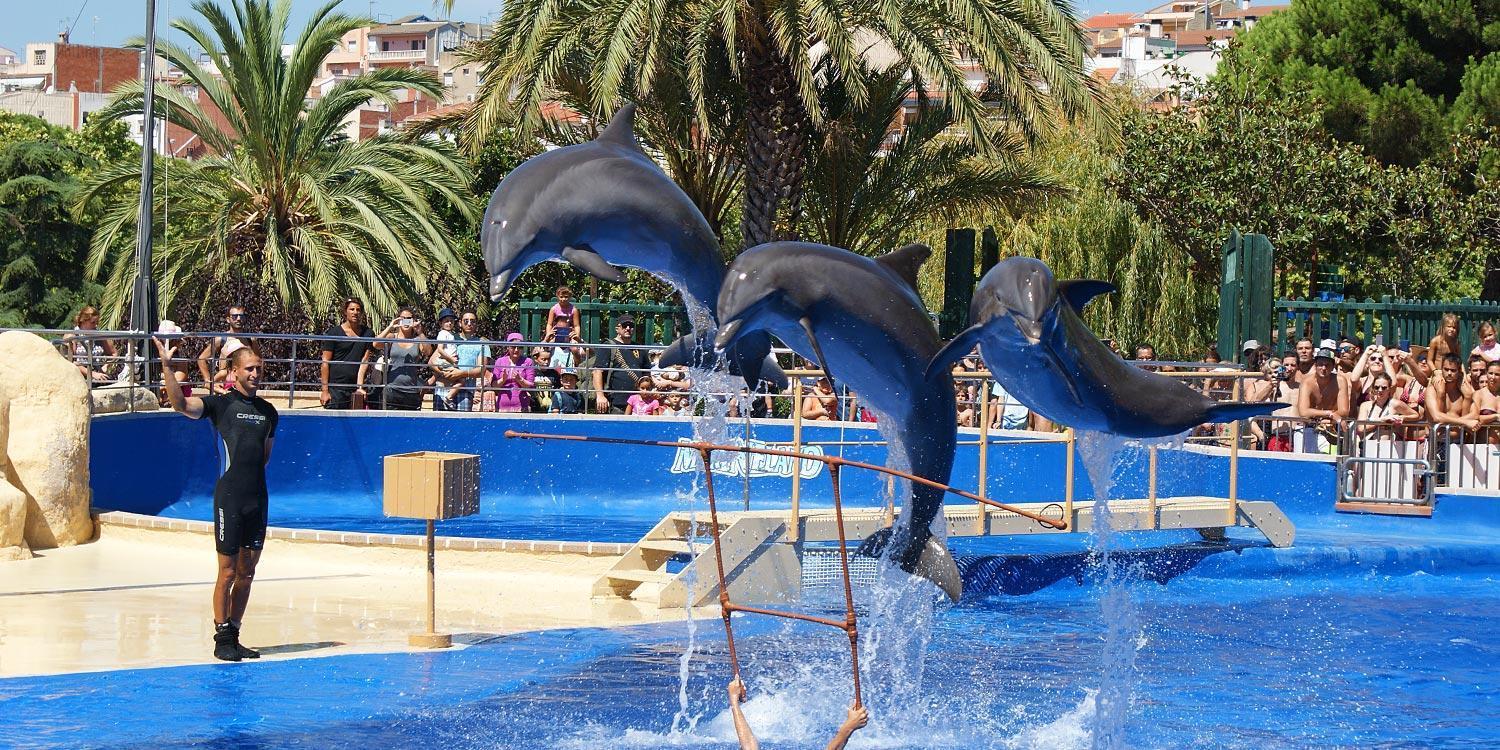 Castillo Can Xirau, Propiedad Exclusiva Con Piscina & Aircon Villa Santa Susanna Esterno foto